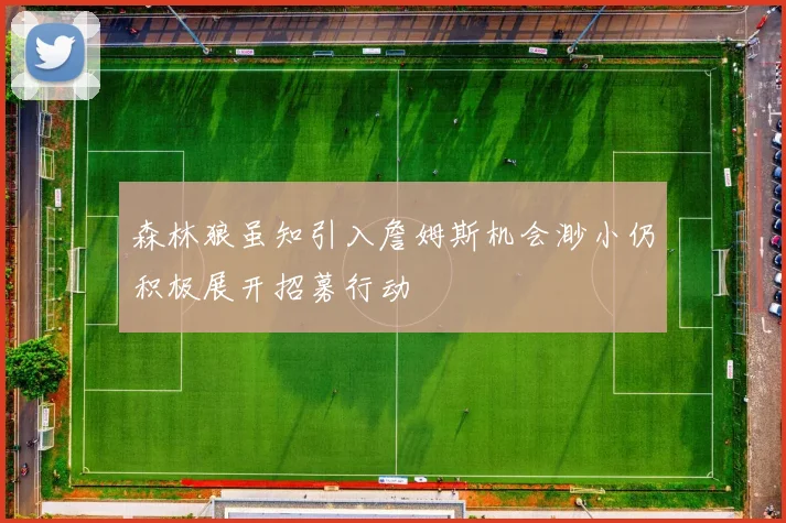 森林狼虽知引入詹姆斯机会渺小仍积极展开招募行动